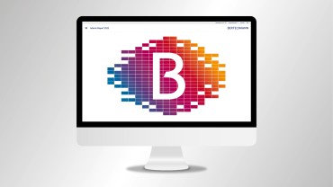 Online Interim Report