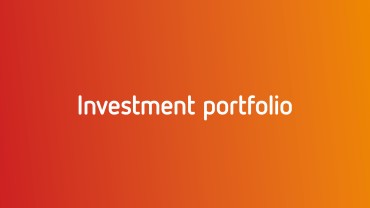 Investment portfolio