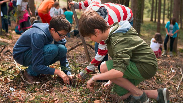 Children planting firs on behalf of Plant-for-the-Planet